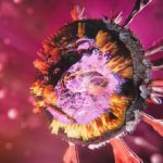 آیا ویروس کرونا خطرناک‌تر شده است؟