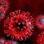 انتقال ویروس از طریق خون، اشک و مدفوع صحت دارد؟