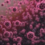 شناسایی دو نوع جدید از ویروس کرونا در آمریکا